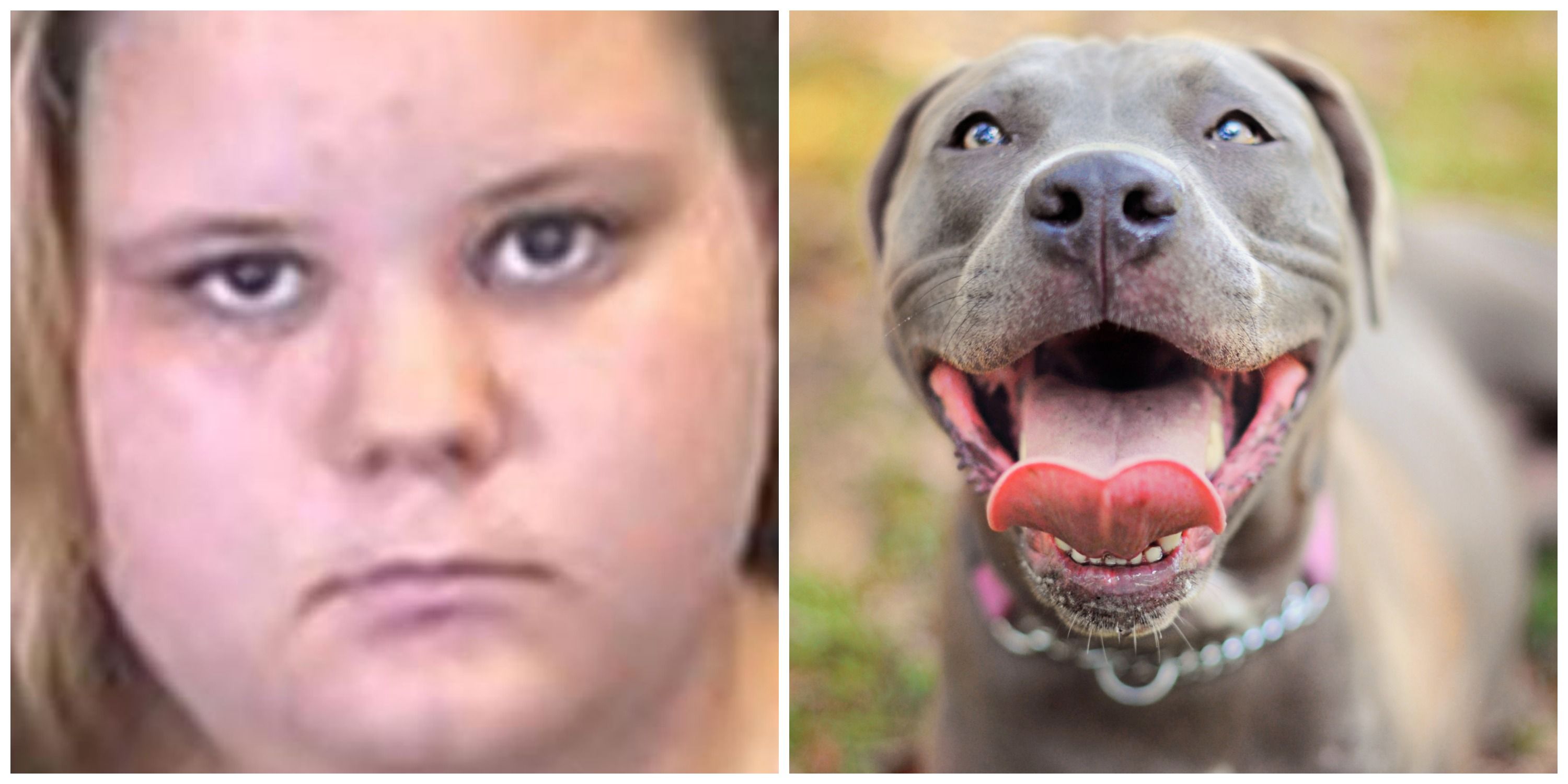 18 year old girl arrested for photographing oral sex with her dog