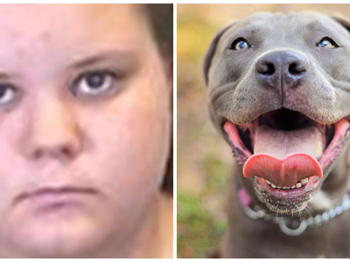 18 year old girl arrested for photographing oral sex with her dog