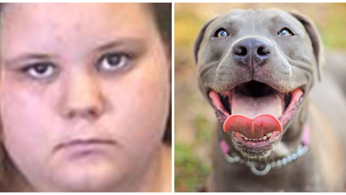 18 year old girl arrested for photographing oral sex with her dog