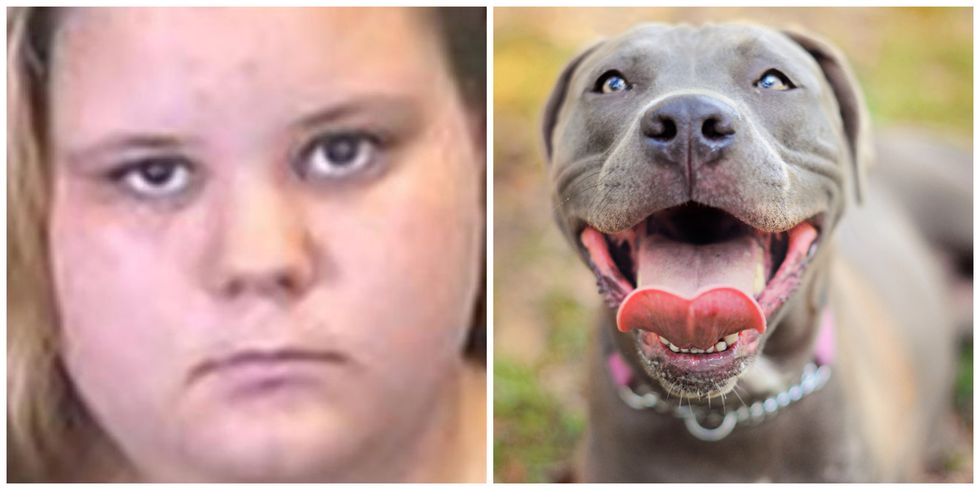 Girl Sleep Dog Xxx - 18 year old girl arrested for photographing oral sex with her dog