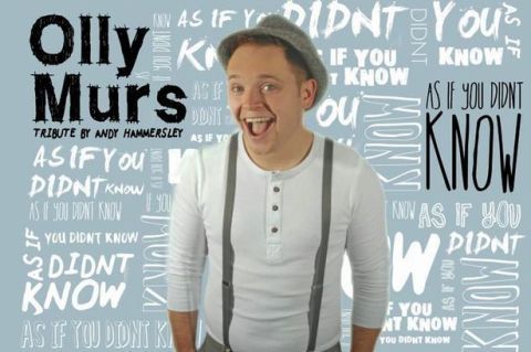Olly Murs impersonator is jailed for grooming a 13-year-old girl