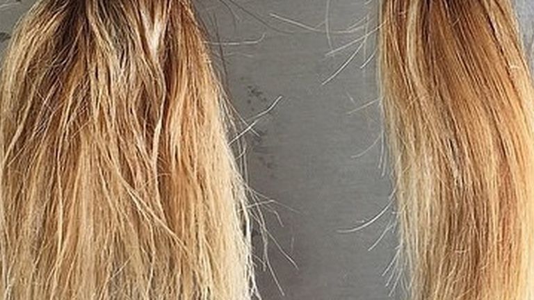 Olaplex dry vs damaged hair