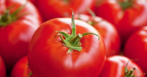 Tomatoes Tomatoes