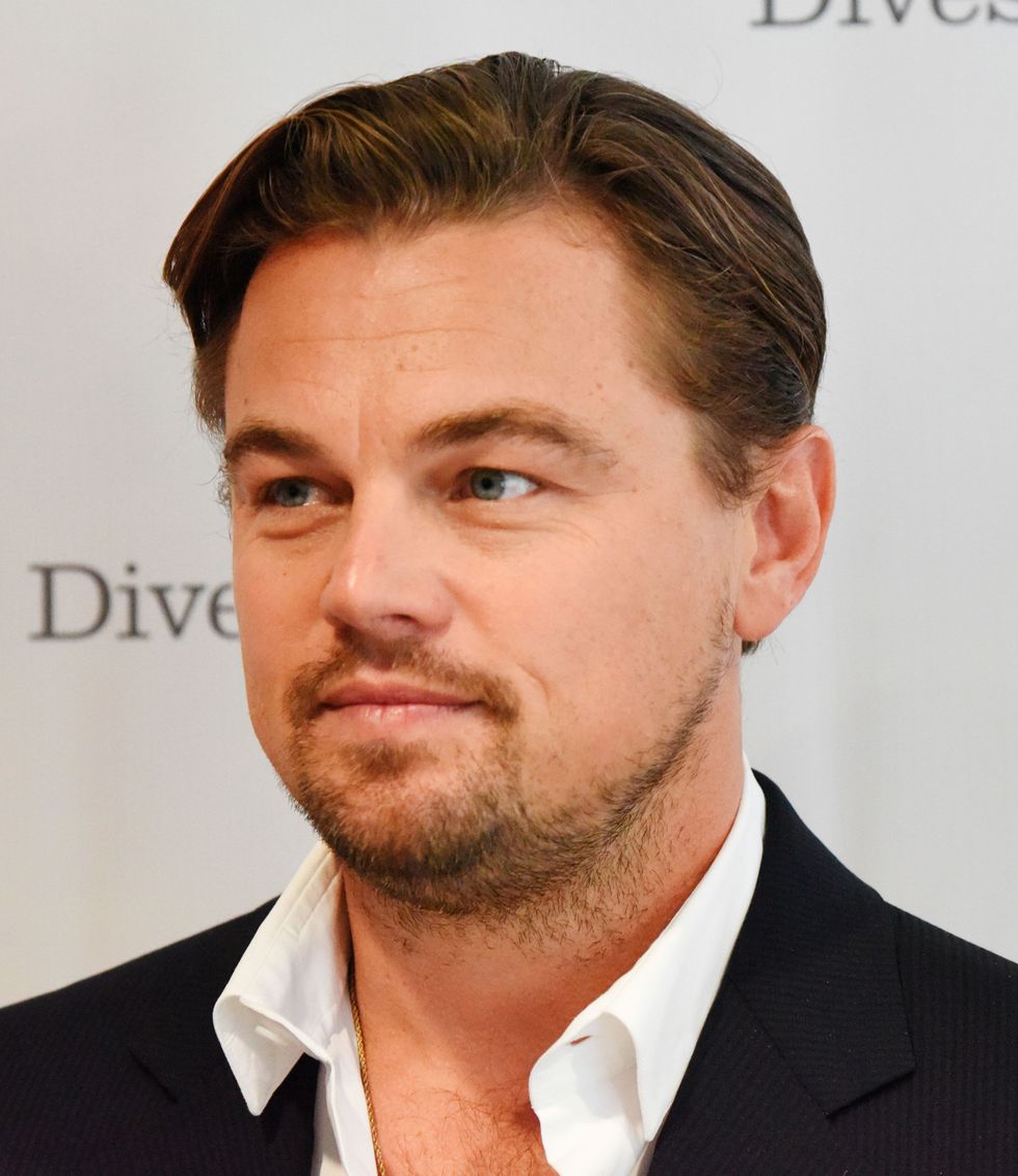 Leonardo DiCaprio has a Swedish lookalike