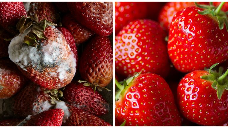 Fresh and mouldy strawberries