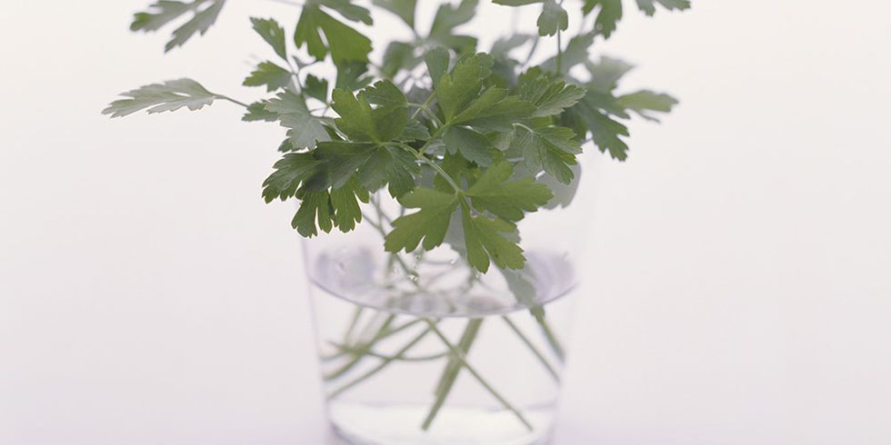 Herbs in water