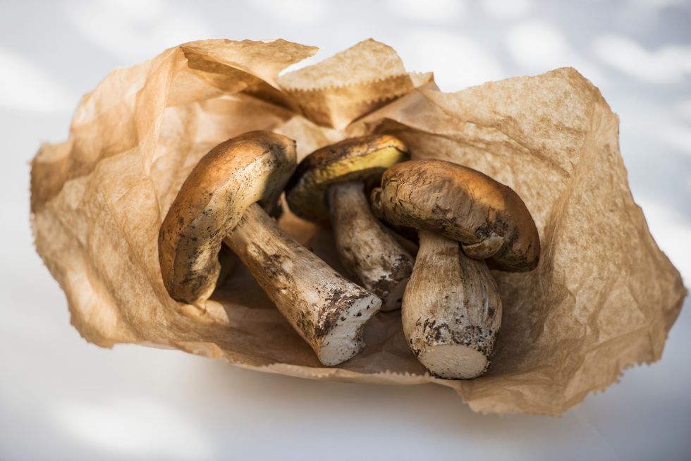 Mushrooms in a paper bag