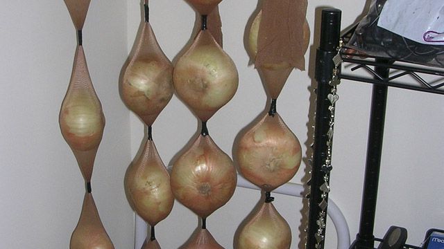 Onions in tights