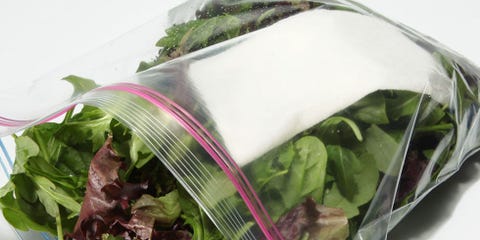 Paper towel in salad Paper towel in salad