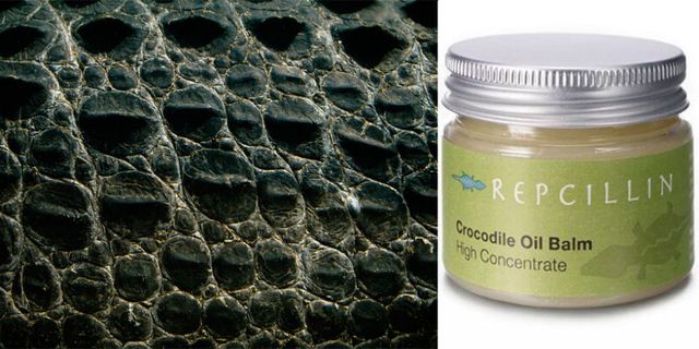 Could crocodile oil be the new coconut oil?