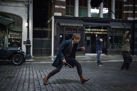 Glorious new pictures from Fantastic Beasts And Where To Find Them are here
