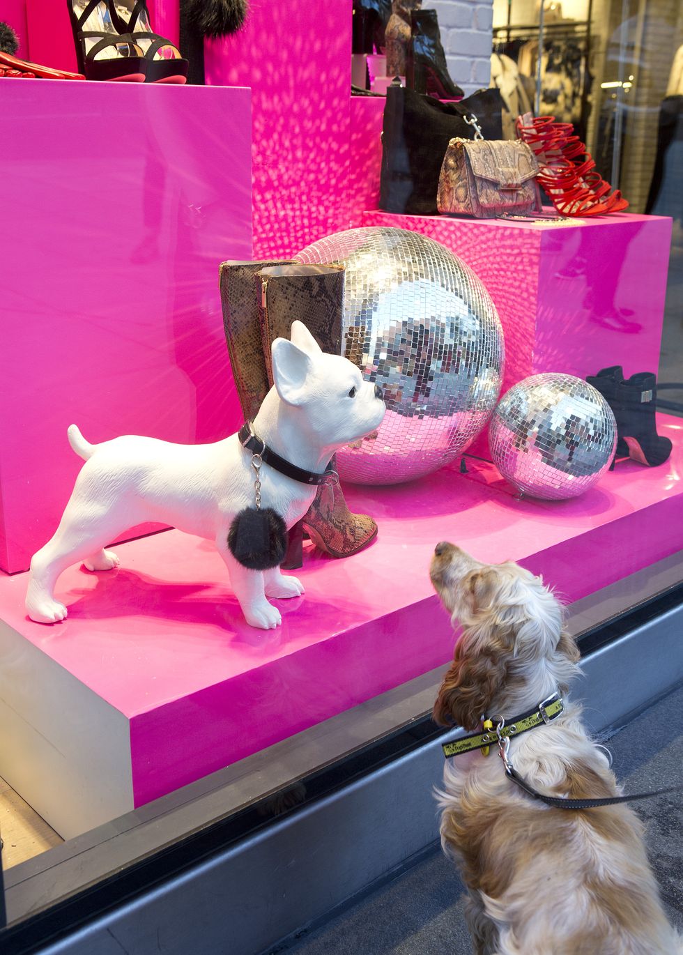 River Island X Dogs Trust mannequins for sale