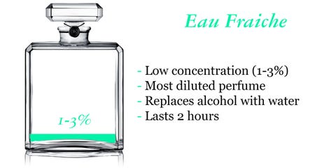 A beginner's guide to fragrance types