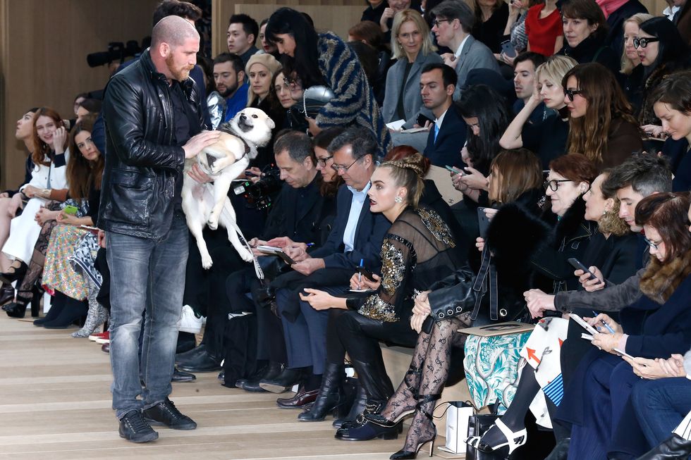 Cara Delevingne's puppy Leo on the front row at Fashion Week