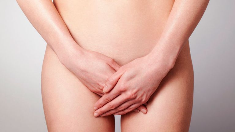 labia vagina STI period