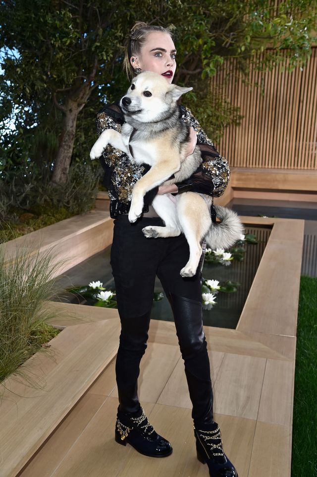 Cara Delevingne and her huskey at Fashion Week