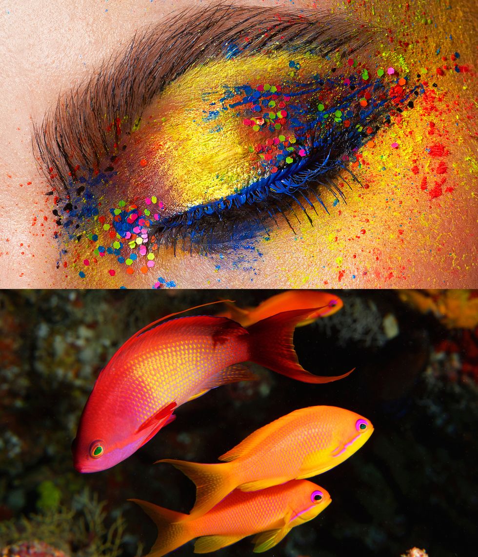 makeup inspired by marine life
