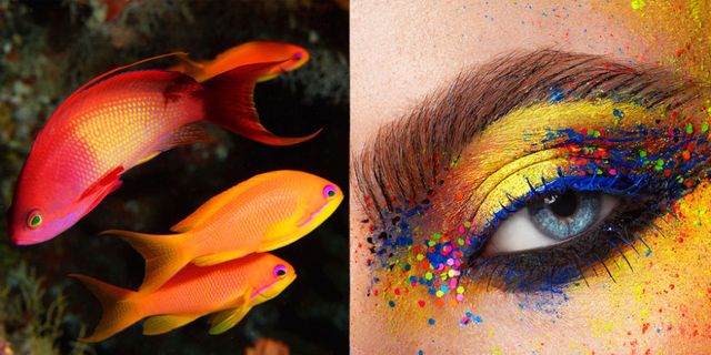 makeup inspired by marine life