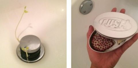 People are complaining that plants are growing out their showers thanks to this Lush massage bar