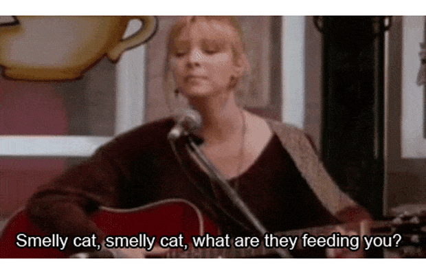 Smelly cat friends phoebe