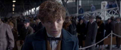 The Fantastic Beasts and Where To Find Them trailer is finally here