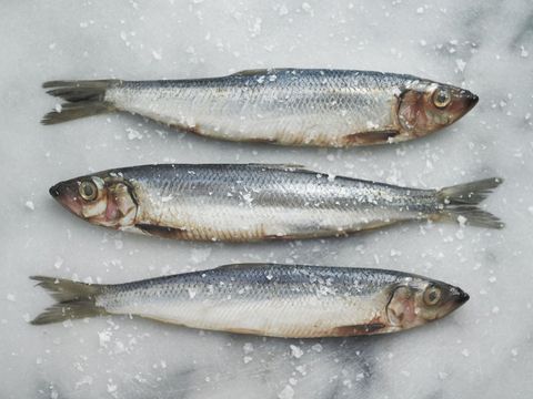 Eating fish is the key to beating depression, apparently