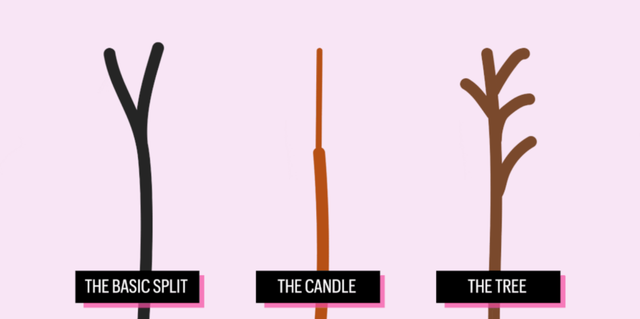 what your split ends really mean