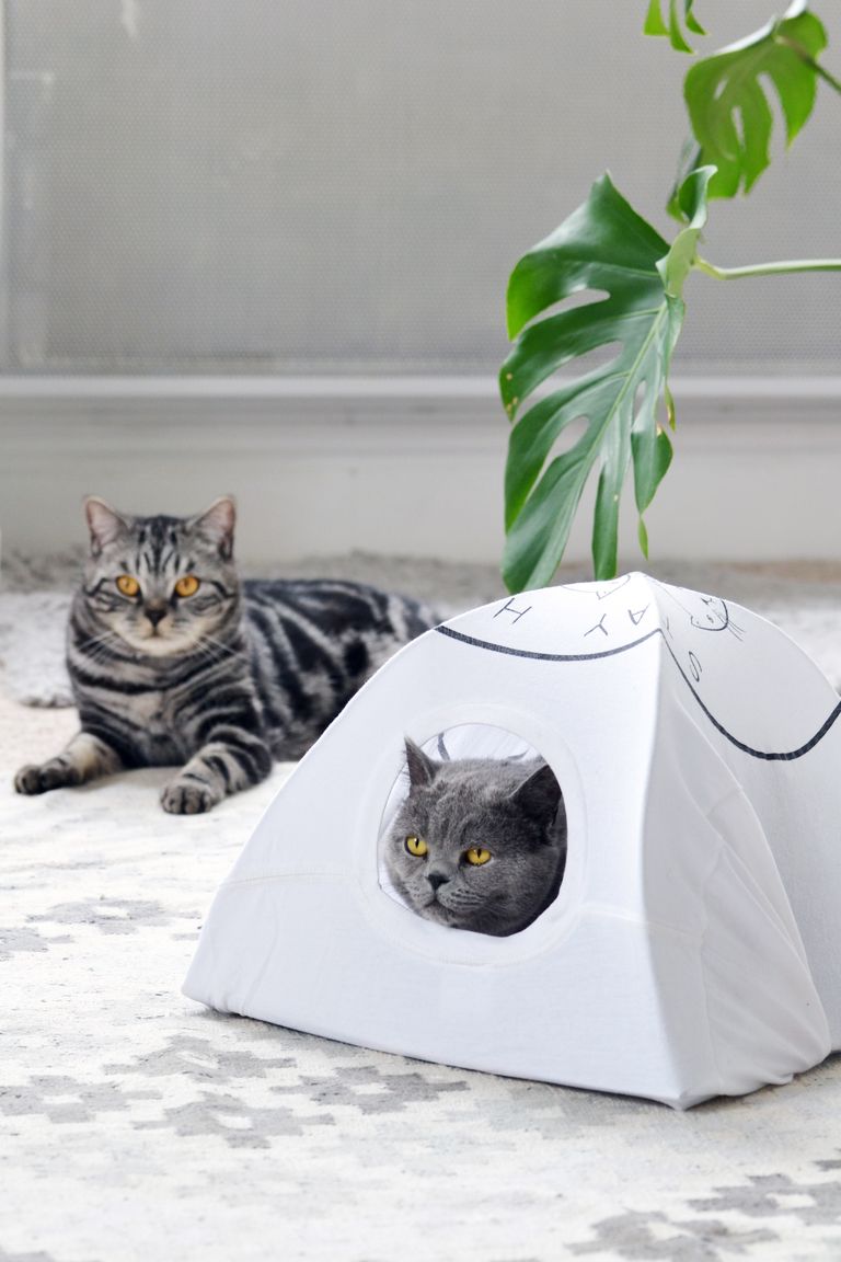 craft hacks you can't live without kitty tent