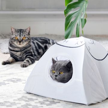 craft hacks you can't live without kitty tent
