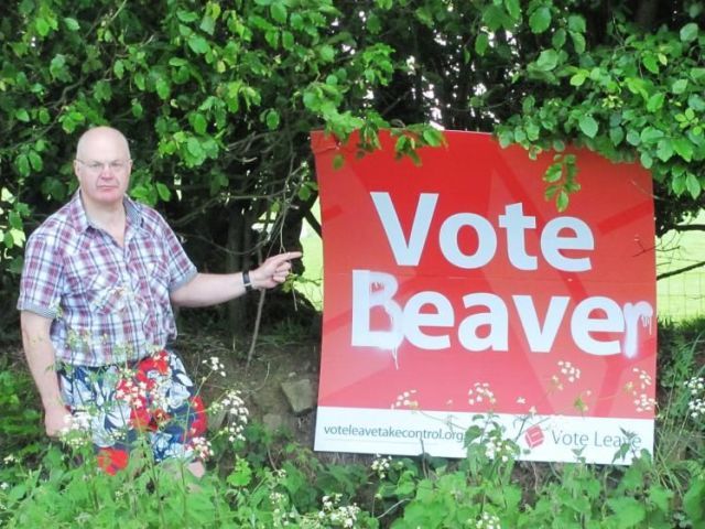 vote beaver