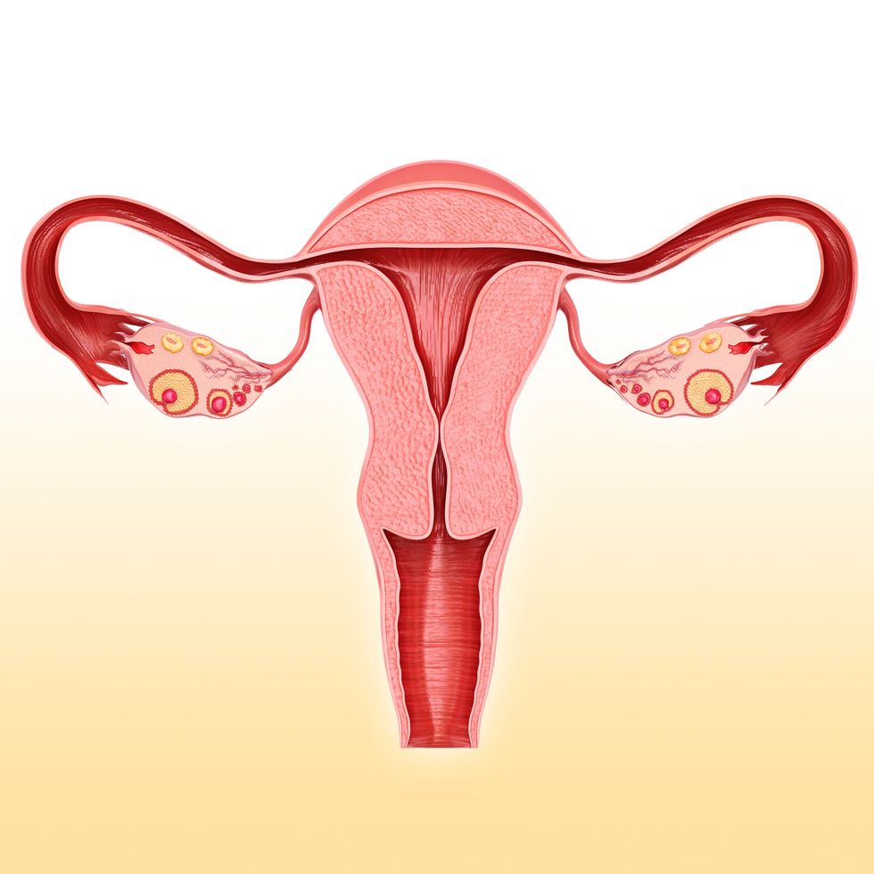10 things your doctor wants you to know about your cervix