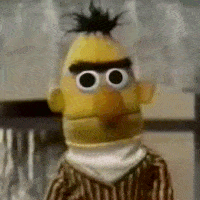 Bert from the muppets GIF