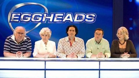 One of the Eggheads has been arrested on suspicion of murder
