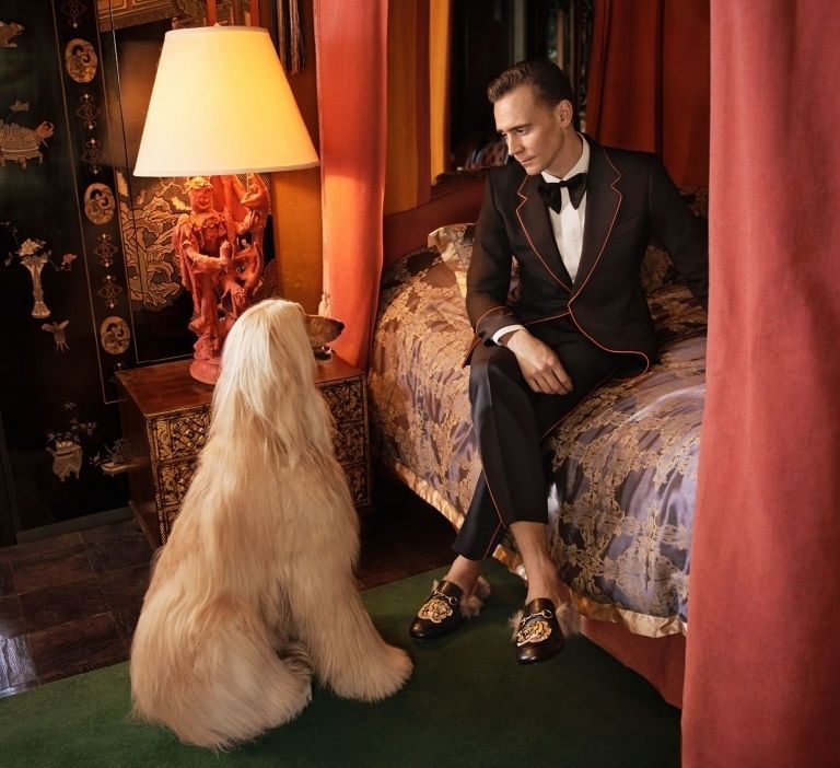 Tom Hiddleston in Gucci campaign