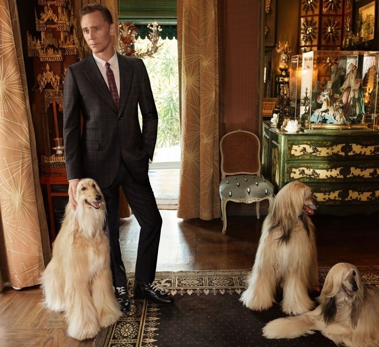 Tom Hiddleston in Gucci's campaign