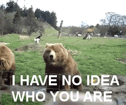 16 things that happen when a southerner dates a northerner