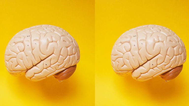 Scientists believe we might have a second brain in our bellies