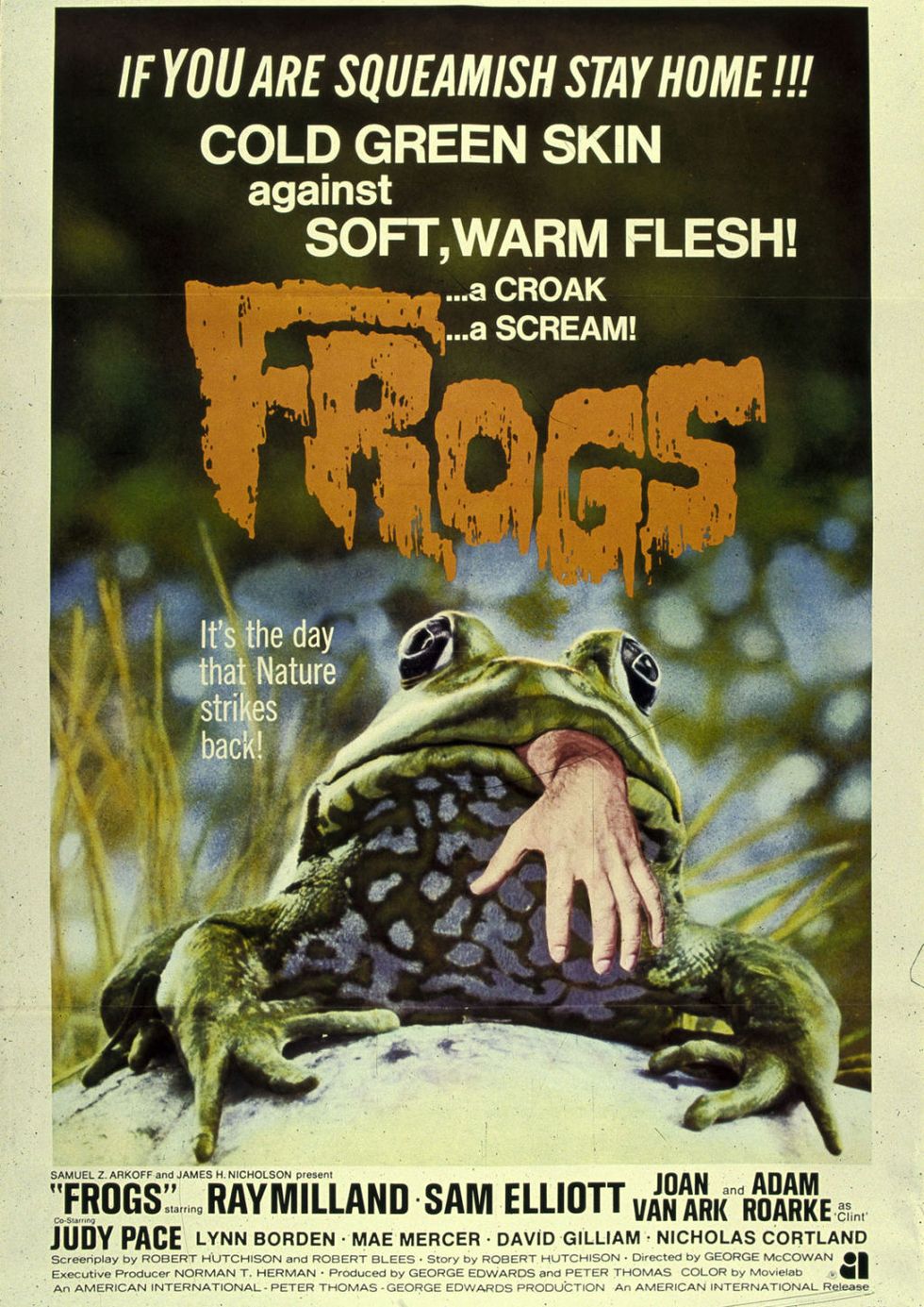 Frog, Toad, Amphibian, Poster, True frog, Adaptation, Bufo, Bullfrog, Advertising, True toad, 
