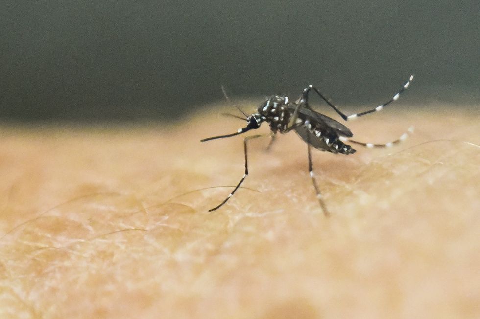 First Zika case through sexual transmission has been found in the UK