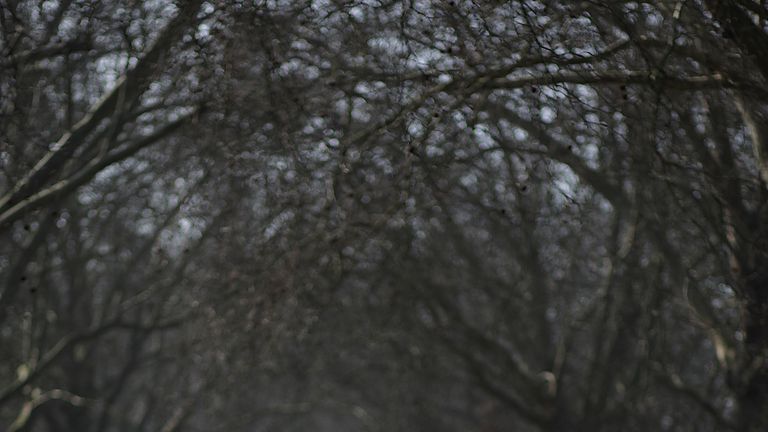 A jogger enjoys the spring sunshine in Battersea Park on March 15, 2012