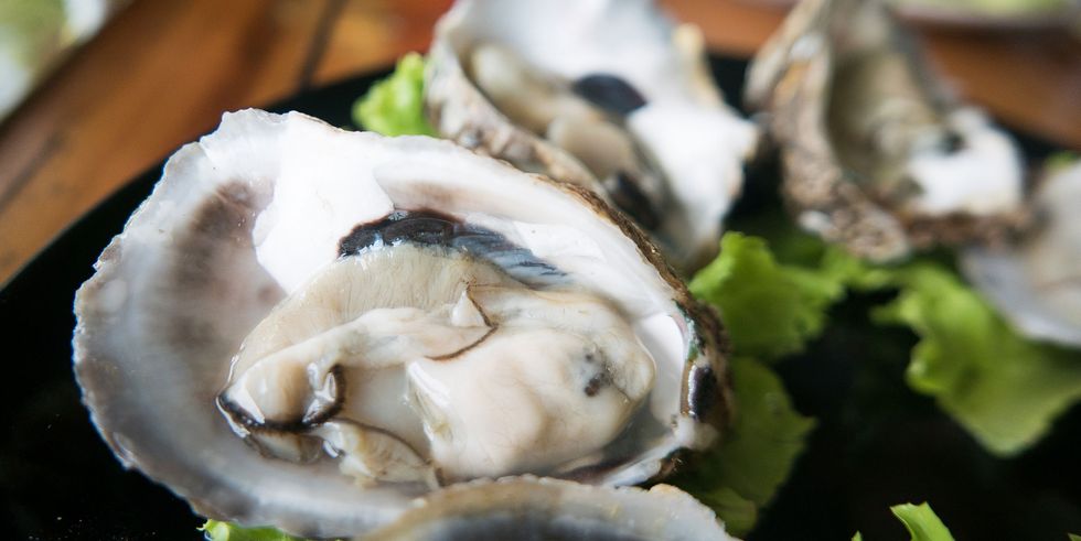 Seafood, Bivalve, Close-up, Shellfish, Molluscs, Shell, Oyster, Delicacy, Marine biology, Natural material, 