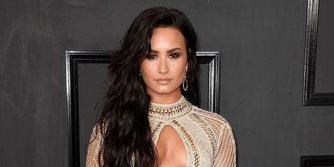 Demi Lovato Walked The Grammys Red Carpet In A Completely Sheer Dress