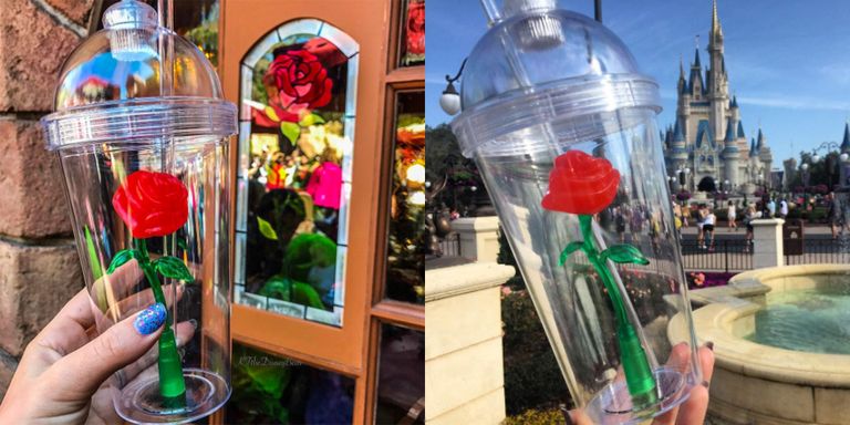 Enchanted Rose Cup at Disneyland