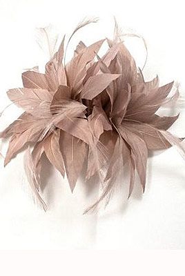 <p>For the Grandstand at Ascot, fascinators make the grade. This clip-in feathered version will top off your nude ensemble to perfection.<br /><br />Kaliko spike clip fascinator, was £30, now £21, <a title="http://www.houseoffraser.co.uk/Kaliko+Spike+clip+fascinator/168164063,default,pd.html" href="http://www.houseoffraser.co.uk/Kaliko+Spike+clip+fascinator/168164063,default,pd.html" target="_blank">House of Fraser</a></p>