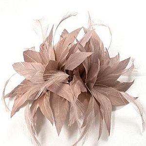 <p>For the Grandstand at Ascot, fascinators make the grade. This clip-in feathered version will top off your nude ensemble to perfection.<br /><br />Kaliko spike clip fascinator, was £30, now £21, <a title="http://www.houseoffraser.co.uk/Kaliko+Spike+clip+fascinator/168164063,default,pd.html" href="http://www.houseoffraser.co.uk/Kaliko+Spike+clip+fascinator/168164063,default,pd.html" target="_blank">House of Fraser</a></p>