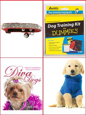 Christmas gift guide for pets Christmas gift guide for pets