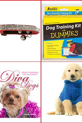 14 Dog Lover Gift Ideas For The Dog-Obsessed