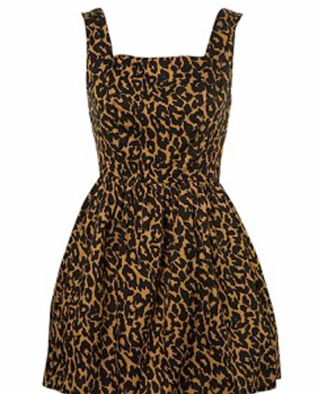 Animal print dress, £48, <a target="_blank" href="http://www.topshop.com/webapp/wcs/stores/servlet/ProductDisplay?beginIndex=0&viewAllFlag=false&catalogId=19551&storeId=12556&categoryId=151405&parent_category_rn=42344&productId=1207393&langId=-1">Topshop</a>  - I love love love animal print and its such a huge trend for this season. This dress would look cute dressed up or down -it's sexy <em>and</em> girly! <br />