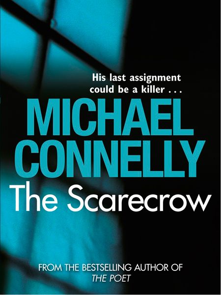 <p>I always take at least one thriller away with me on holiday and Michael Connelly is reliably brilliant. The story follows LA crime reporter Jack McAvoy on one last job before redundancy. He's after a Pulitzer prize and finds a killer called the Scarecrow.  </p><p> £7.99<a target="_blank" href="http://www.amazon.co.uk/Scarecrow-Michael-Connelly/dp/1409103404/ref=sr_1_1?ie=UTF8&s=books&qid=1279541823&sr=1-1"> Buy now </a><br /></p>