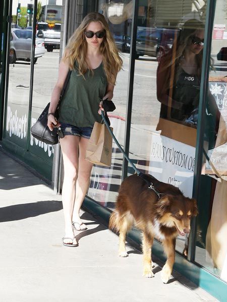 Newly single Hollywood actress Amanda Seyfried popped out for a coffee with friends and carried a bowl of water for her pet pooch in West Hollywood. The starlet recently split from actor Ryan Phillippe after three months, with Phillippe currently being romantically linked to Rihanna.
